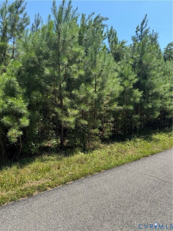 0 Lawyers unit 2521964, Prince George, VA 23875 - photo 2