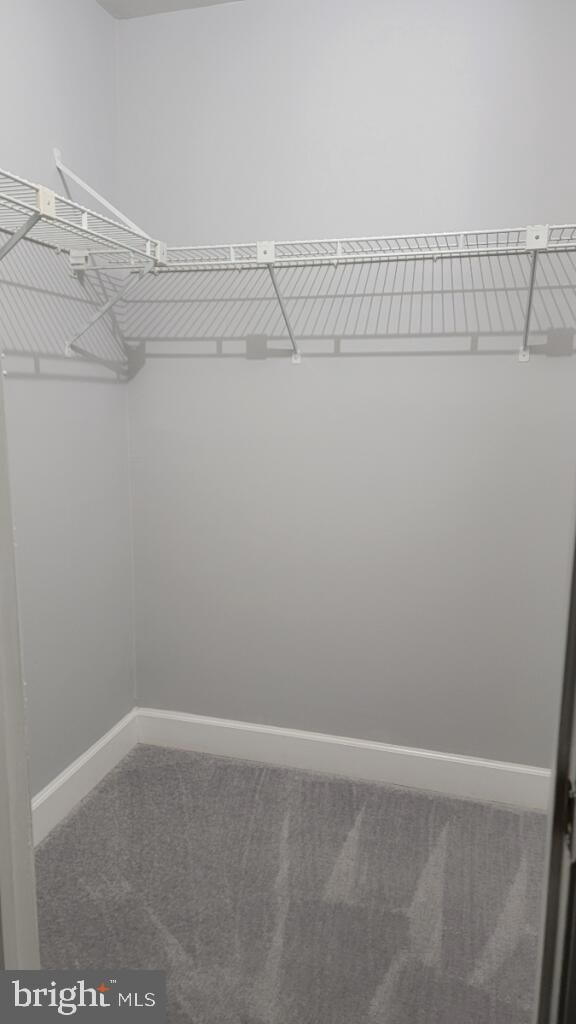 11343 Halethorpe Terrace, Germantown, MD 20876 - photo 7