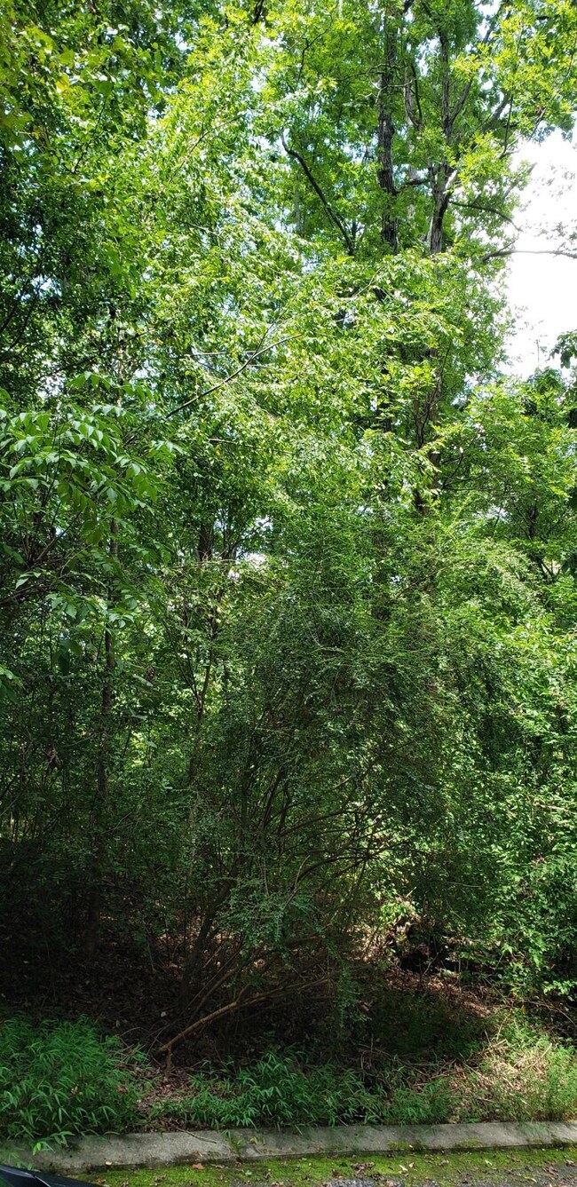 0 Shady Oaks Cove unit RTC2720331, Dunlap, TN 37327 - photo 4