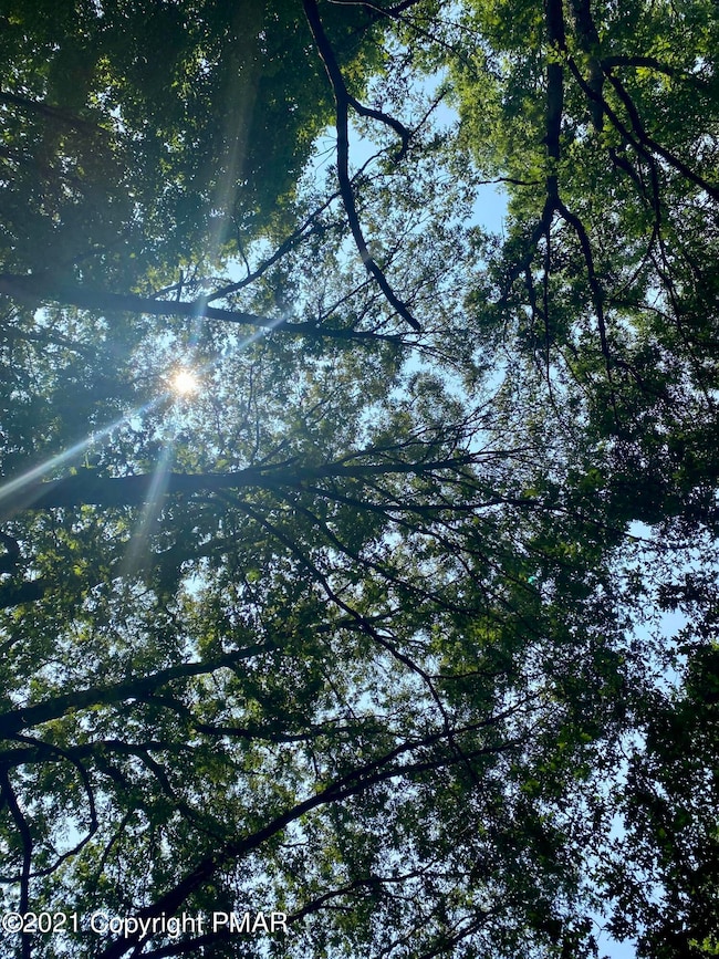 333 Tower Rd, Albrightsville, PA 18210 - photo 5