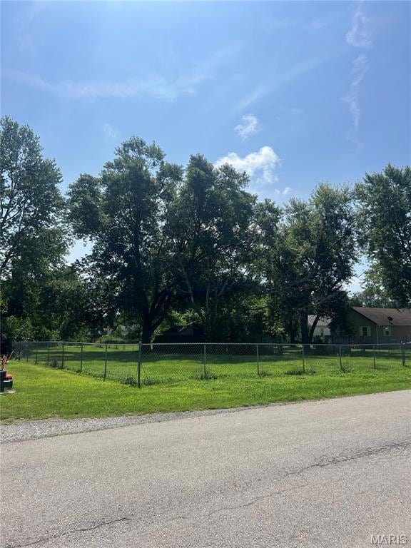 TBD Adams St, Litchfield, IL 62056 - photo 2