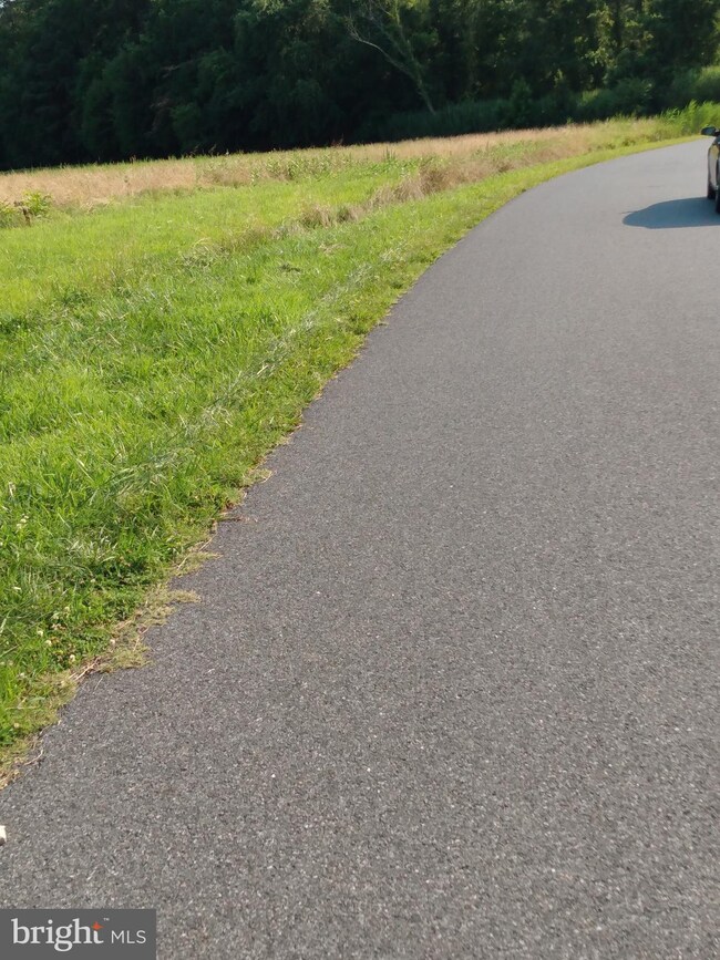 0 Jesterville Rd unit MDWC2000364, Bivalve, MD 21814 - photo 2