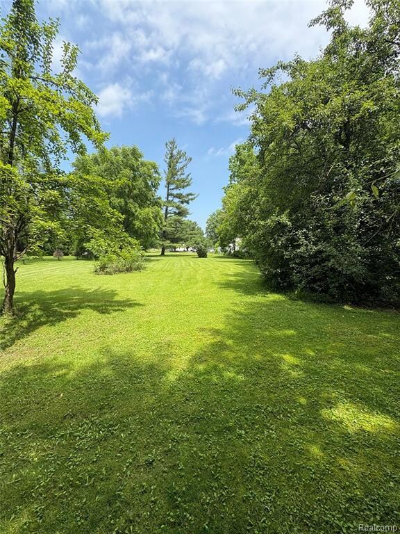Back of the property