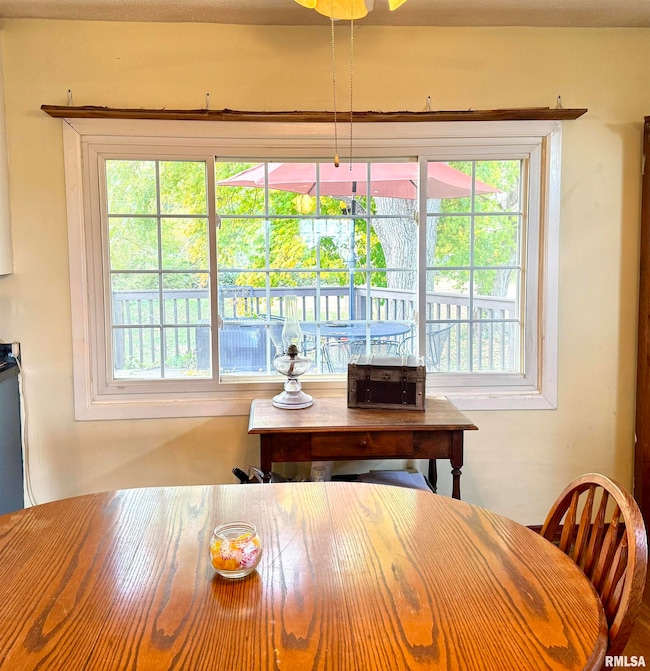 14517 N Elmore Rd, Elmwood, IL 61529 - photo 7