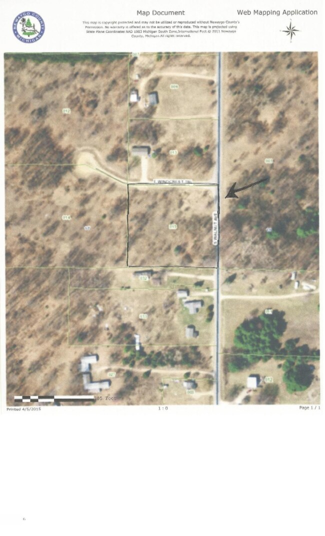 11551 Walnut Ave, Grant Township, MI 49327 - photo 6