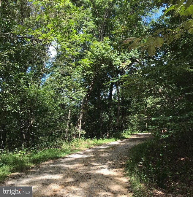 0 River View Place unit VAPA2000266, Shenandoah, VA 22849 - photo 2