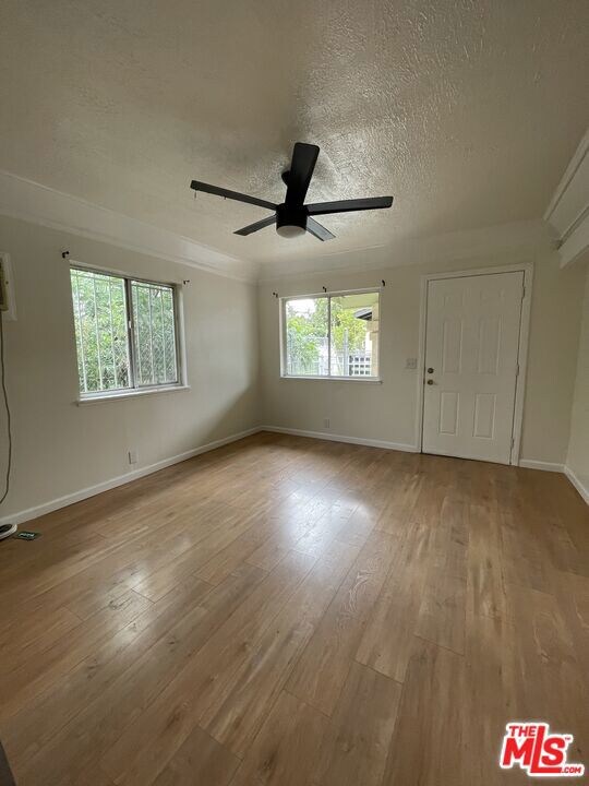 Living room- lots of light