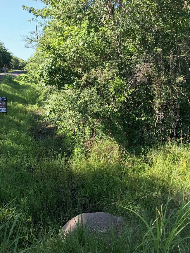 0 Heather Dr unit 96714103, Brazoria, TX 77422 - photo 3