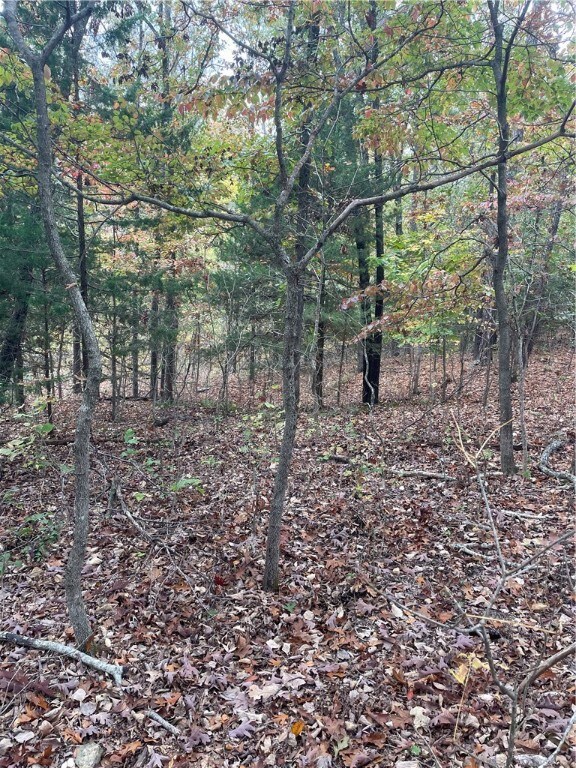 0 Grace Ln, Bella Vista, AR 72715 - photo 3