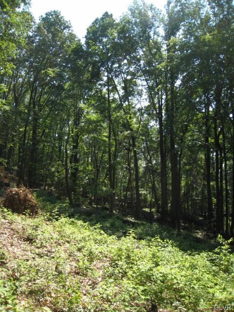 87 Chestnut Hill Rd, Emmaus, PA 18049 - photo 3