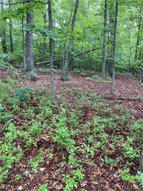 00 Blackwell Rd, Buckingham, VA 24590 - photo 4