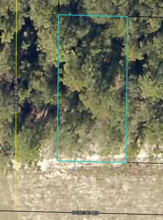 Aerial view 2