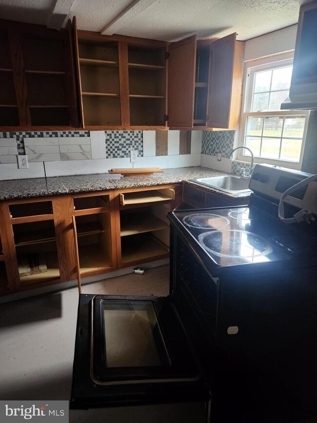 16 Berg Aly, Magnolia, DE 19962 - photo 2