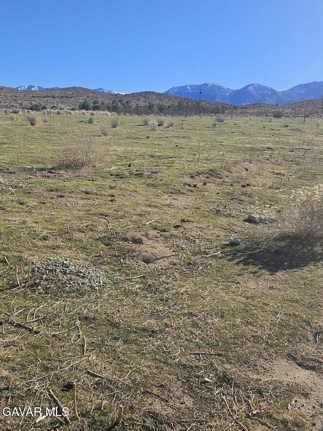 111 Ste Drt Vic V14 Ste, Pearblossom, CA 93553 - photo 2