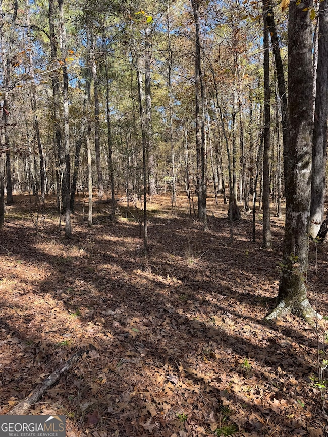 000 Jones Bridge Rd, Sparta, GA 31087 - photo 5