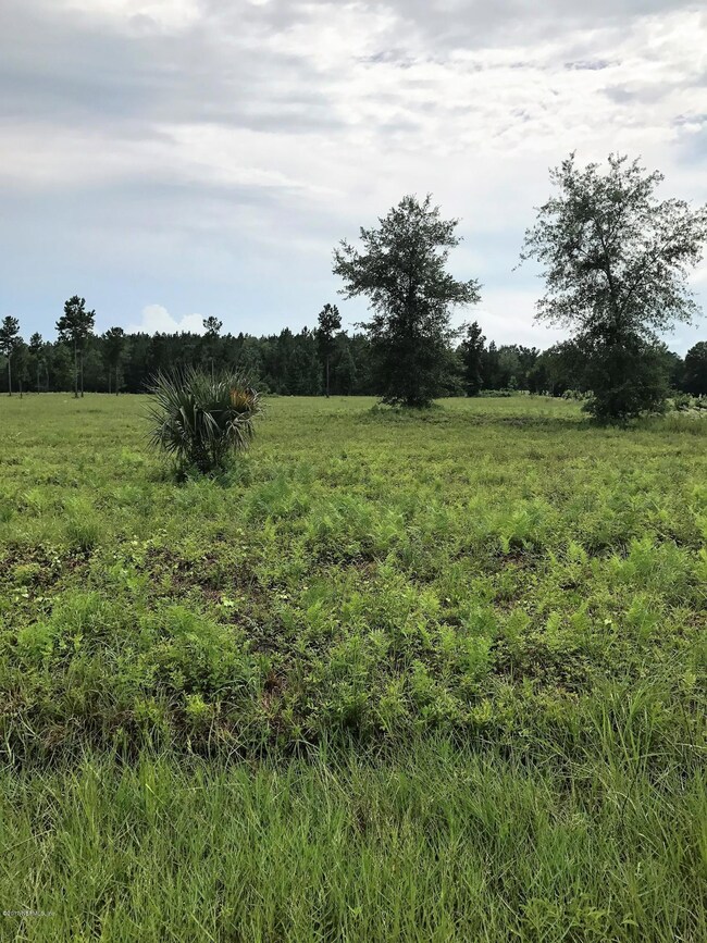 0 Red Dirt Ridge Trail unit 894029, Callahan, FL 32011 - photo 2