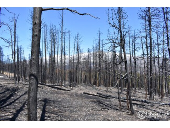 0 Crystal Mountain Rd unit 939671, Bellvue, CO 80512 - photo 7