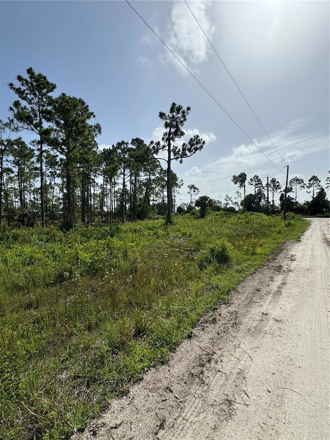 29528 Clara Dr, Punta Gorda, FL 33982 - photo 3