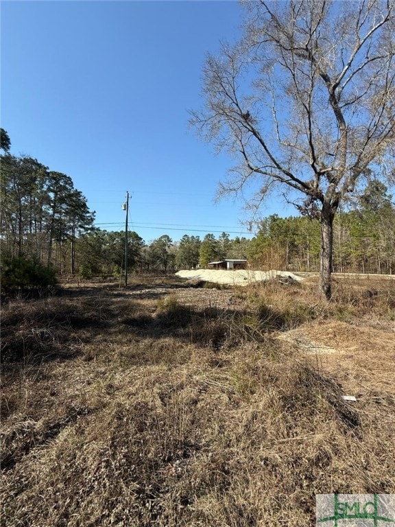 145 Middle Landing Rd, Bloomingdale, GA 31302 - photo 6