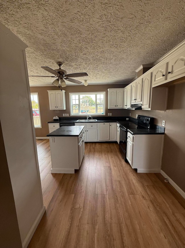 3409 198th Rd, Goodson, MO 65663 - photo 6