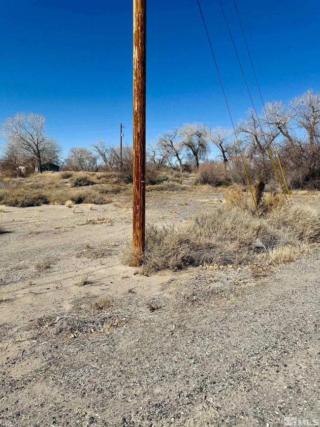 2020 Blues Ct, Fallon, NV 89406 - photo 2
