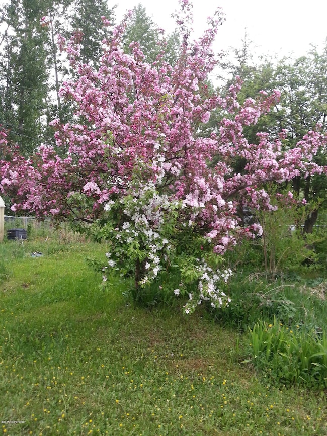 6811 E 12th Ave, Anchorage, AK 99504 - photo 5