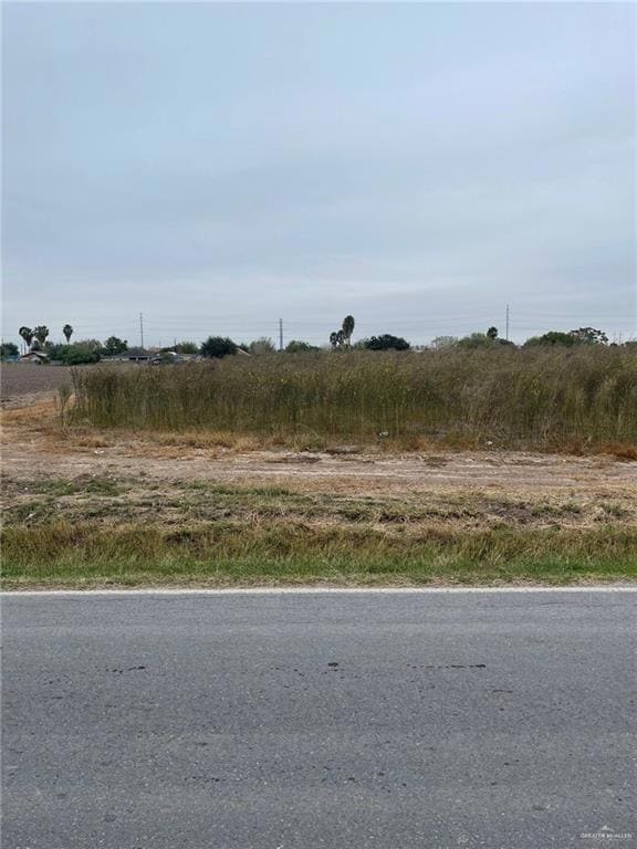 TBD N Gonzalez Rd, Progreso, TX 78579 - photo 2