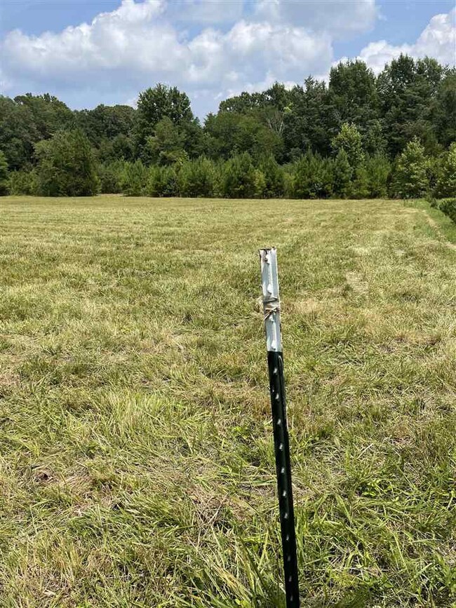 0 Major Lee Rd unit 2399656, Center, NC 27312 - photo 2