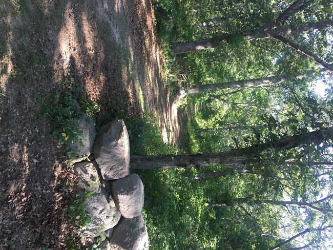 Path From Hammett Road