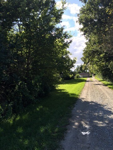 Looking from the edge of the property line starts 