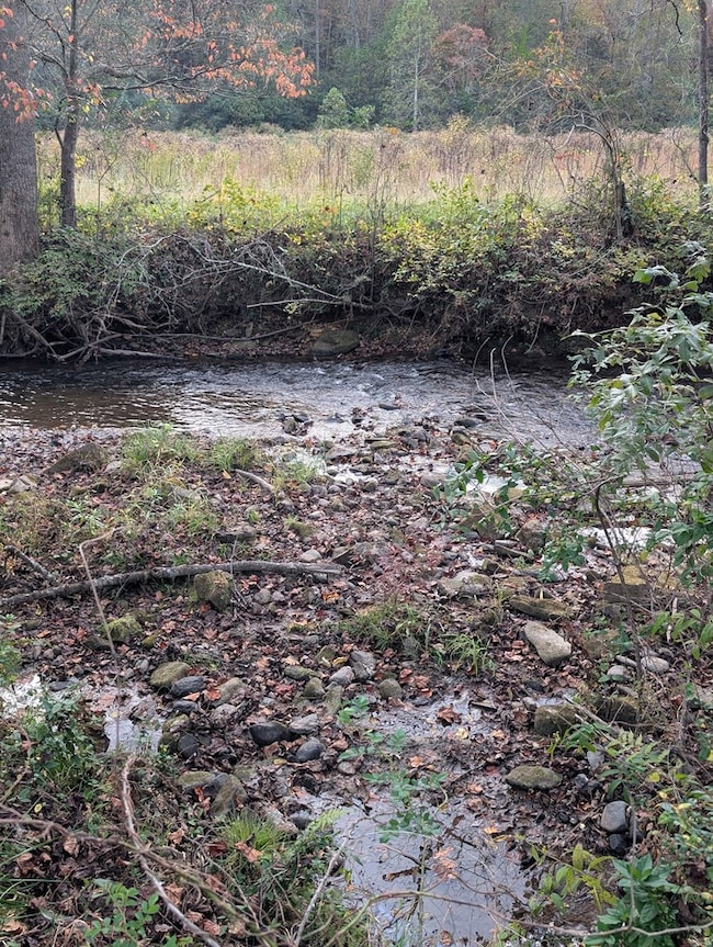 370 Boiling Springs Rd, Murphy, NC 28906 - photo 4