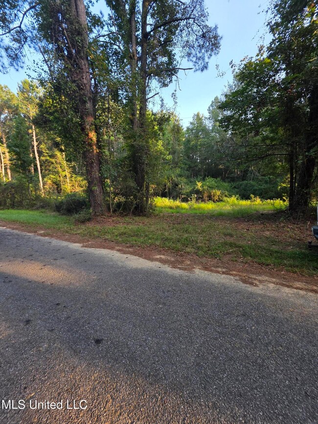 0 County Road 155 unit 4126041, Stringer, MS 39481 - photo 3