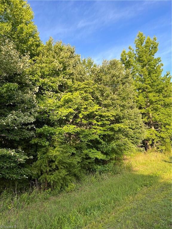 6129 & 6131 Hickory Creek Rd, Archdale, NC 27263 - photo 3