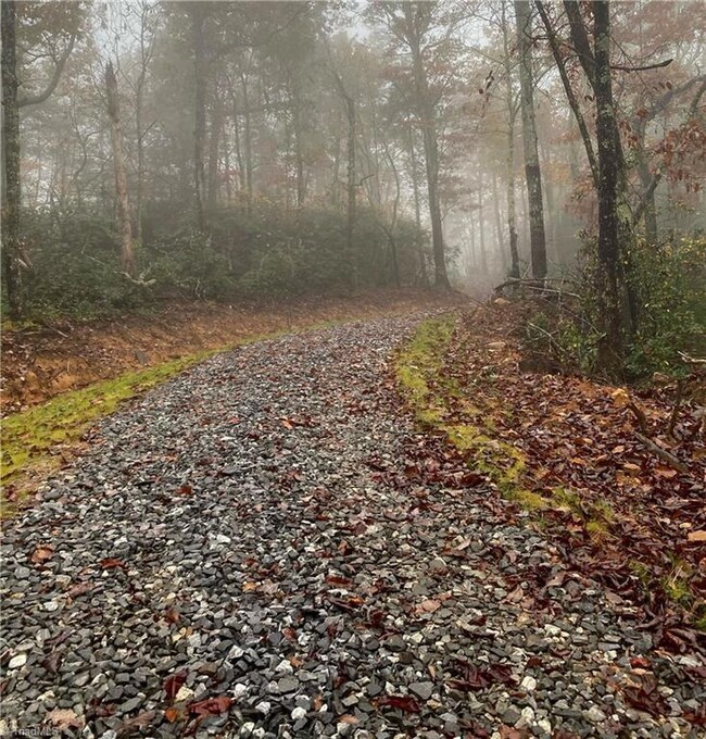 000 Shannon Ct, Deep Gap, NC 28618 - photo 2