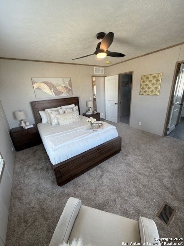 15966 Flores Curve, San Antonio, TX 78221 - photo 3