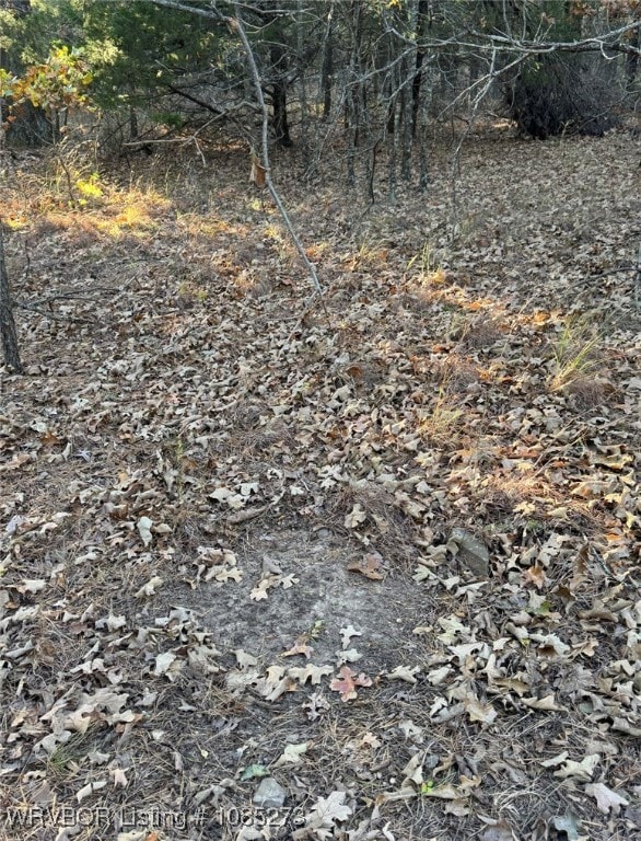 TBD Bengal Rd, Talihina, OK 74571 - photo 4