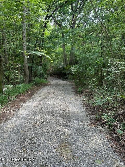 782 County Road 279, Niota, TN 37826 - photo 6