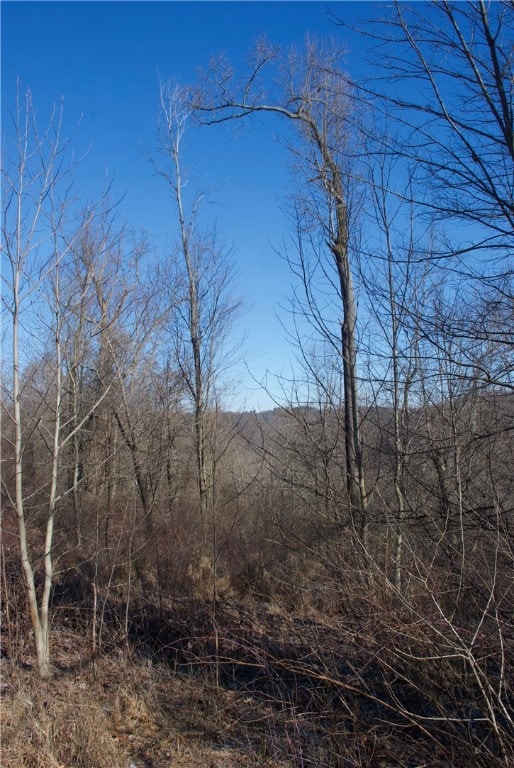 Southern Portion - Amazing views to the North