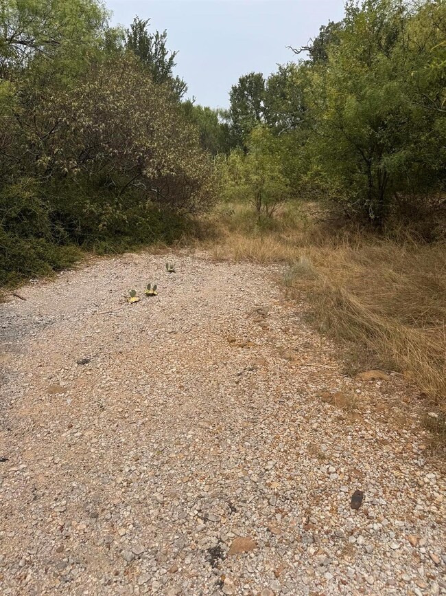View of nature