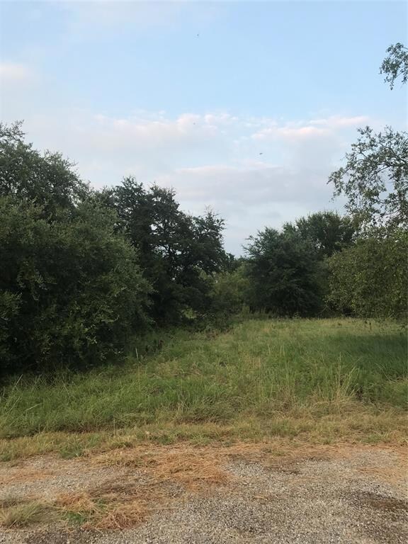 14063 Sandy Oaks Ct, Whitney, TX 76692 - photo 3