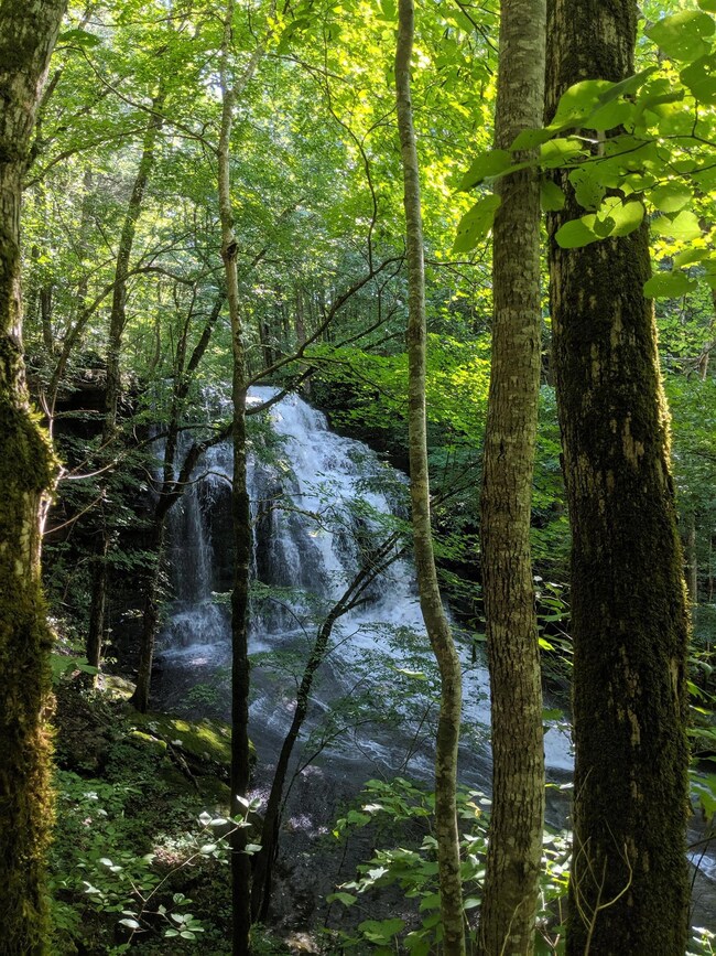 480 Ramsey Ln, Cookeville, TN 38501 - photo 3