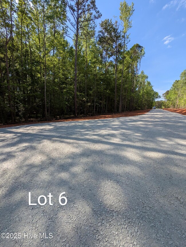 PXL_20250429_202346838.MP~2