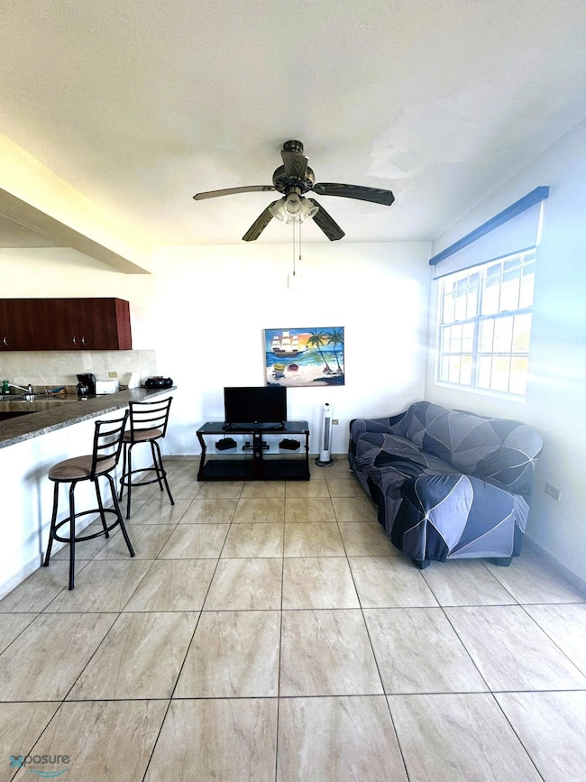 1 Carr 485 unit 1, Camuy, PR 00627 - photo 6