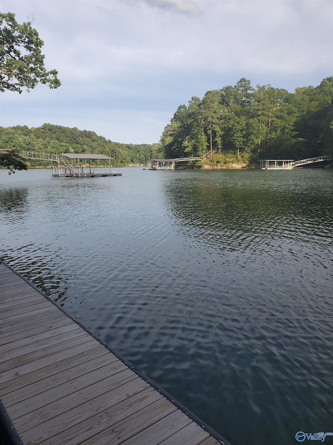 Lot 7 County Road 373, Crane Hill, AL 35053 - photo 4