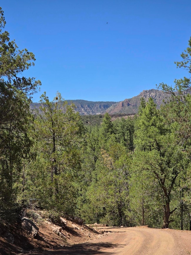 437 W Elusive Dr, Payson, AZ 85541 - photo 5