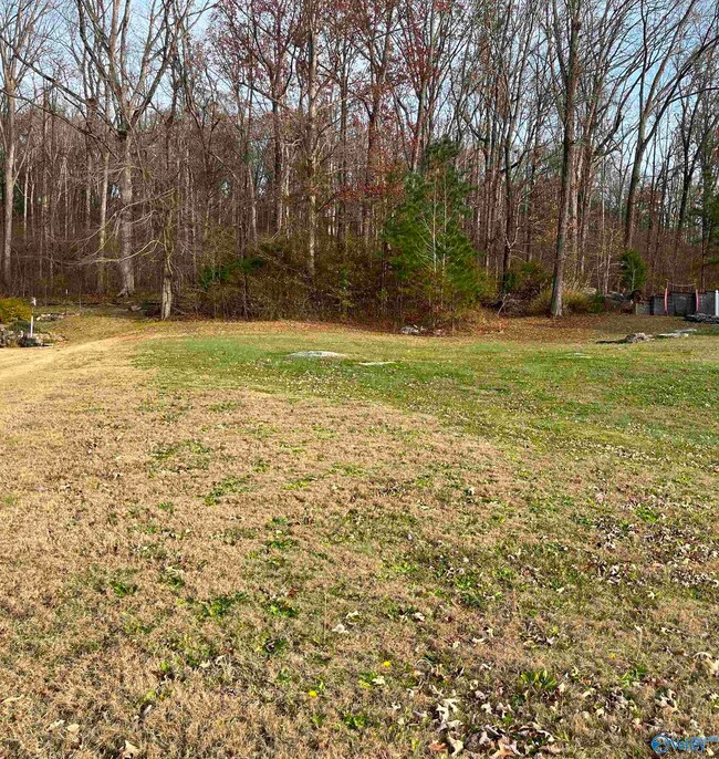 105 Amber Way, Priceville, AL 35603 - photo 7