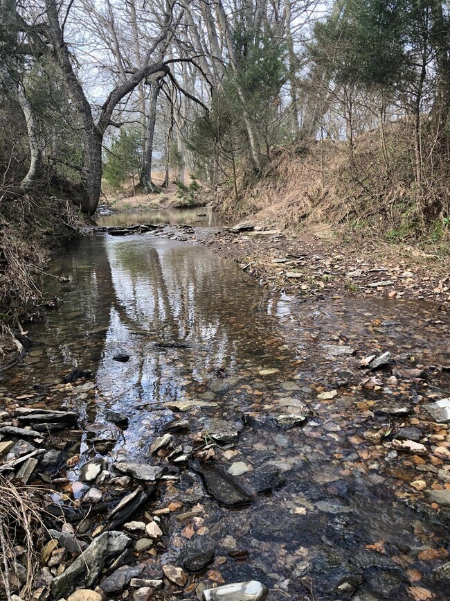Amazing Creek winds through back portion of the property. 
