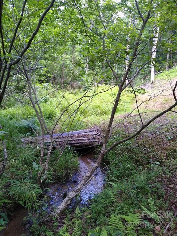 130 Starling Blvd unit 250, Lake Lure, NC 28746 - photo 5