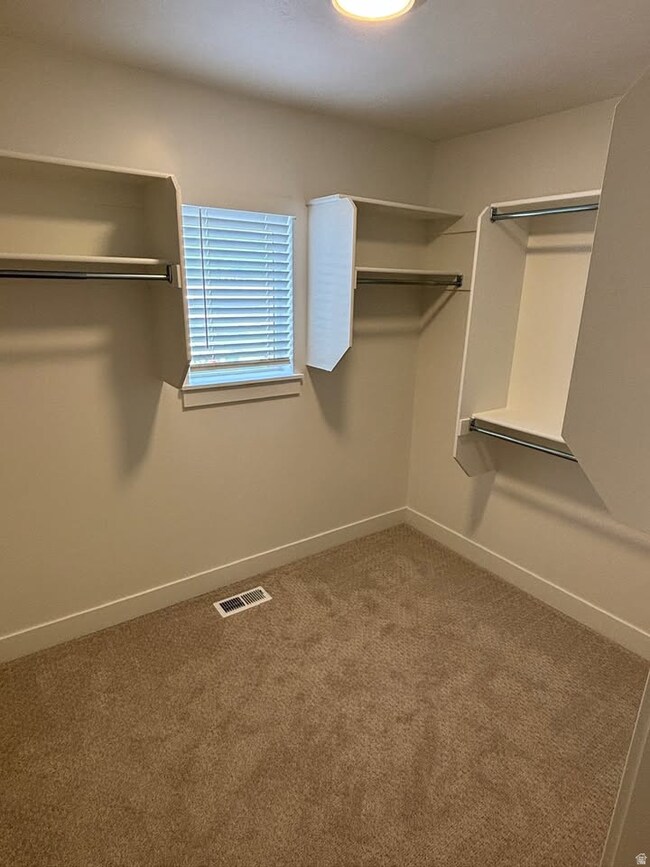 Walk in closet with light carpet