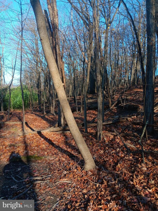 0 Gray Ave unit MDAL2013506, Cumberland, MD 21502 - photo 7